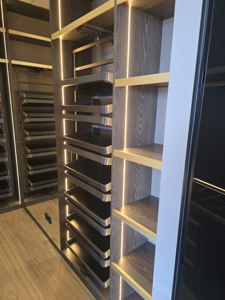 Висувні полиці для взуття і відкриті полиці для сумок DreamHouse.